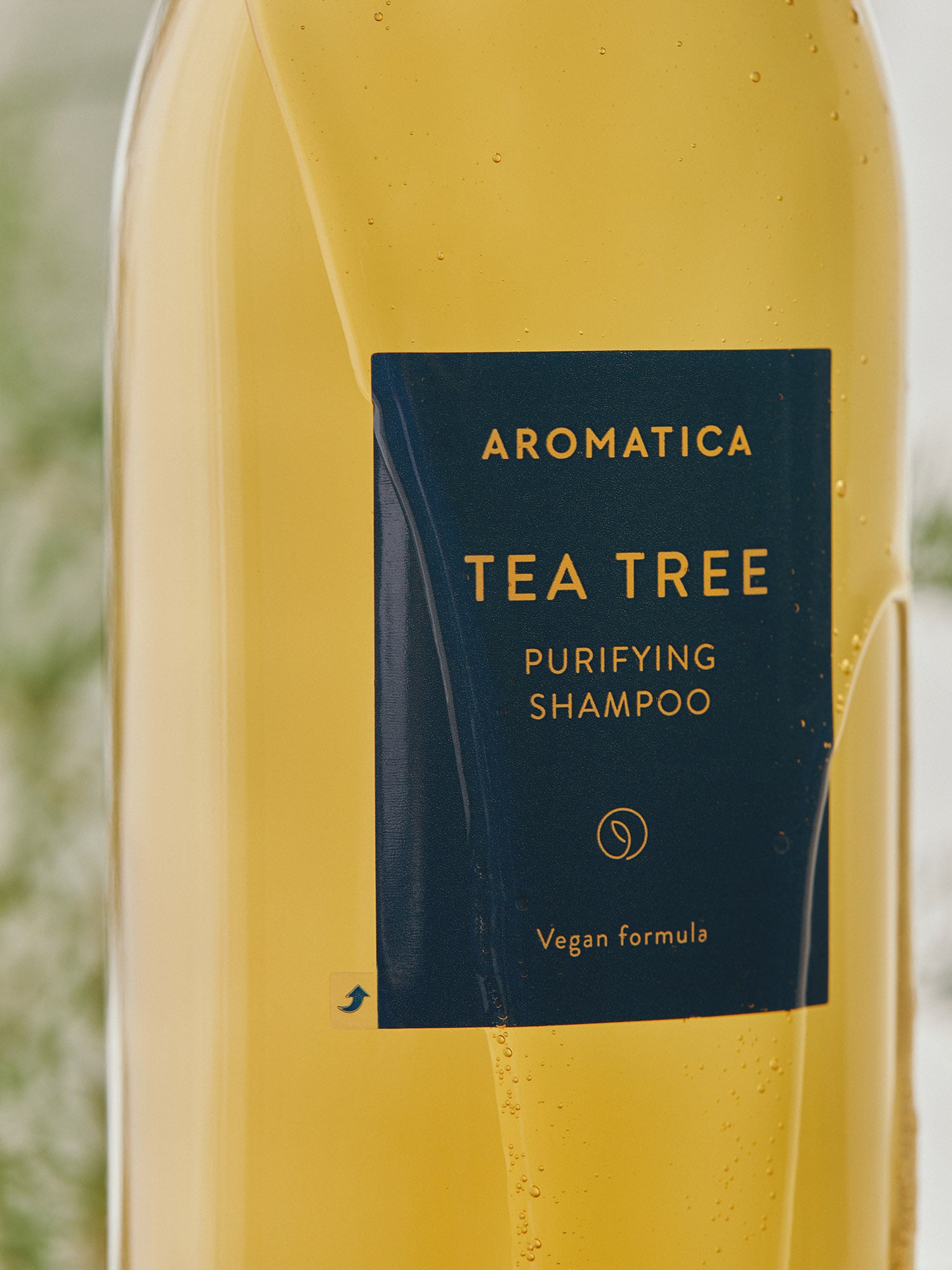 Tea Tree Purifying Shampoo