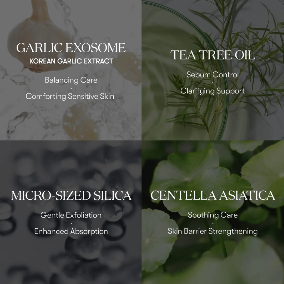 Garlic AC Reedle Shot Spot Patch