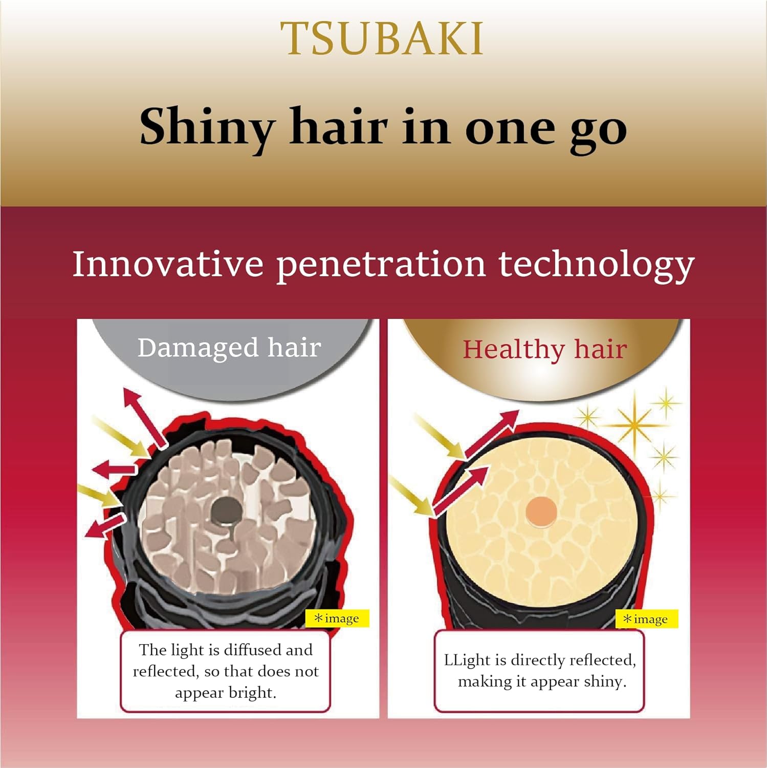 Tsubaki Premium Moist & Repair Shampoo