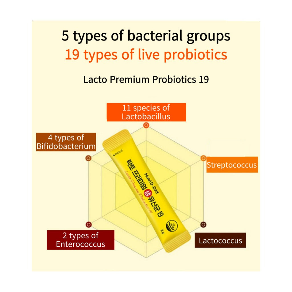 Lacto Premium Probiotics 19
